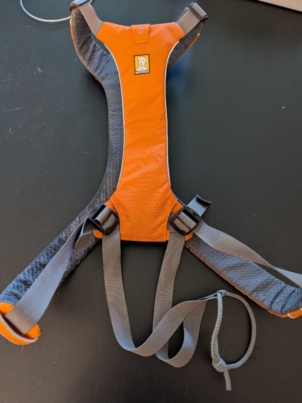 Ruffwear harness for joring or canicross